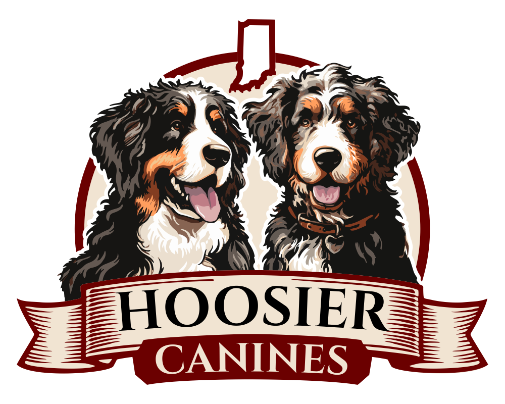 Bernedoodle Breeder, Hoosier Canines, Their Logo Is Of Two Bernedoodles In The State Of Indiana.