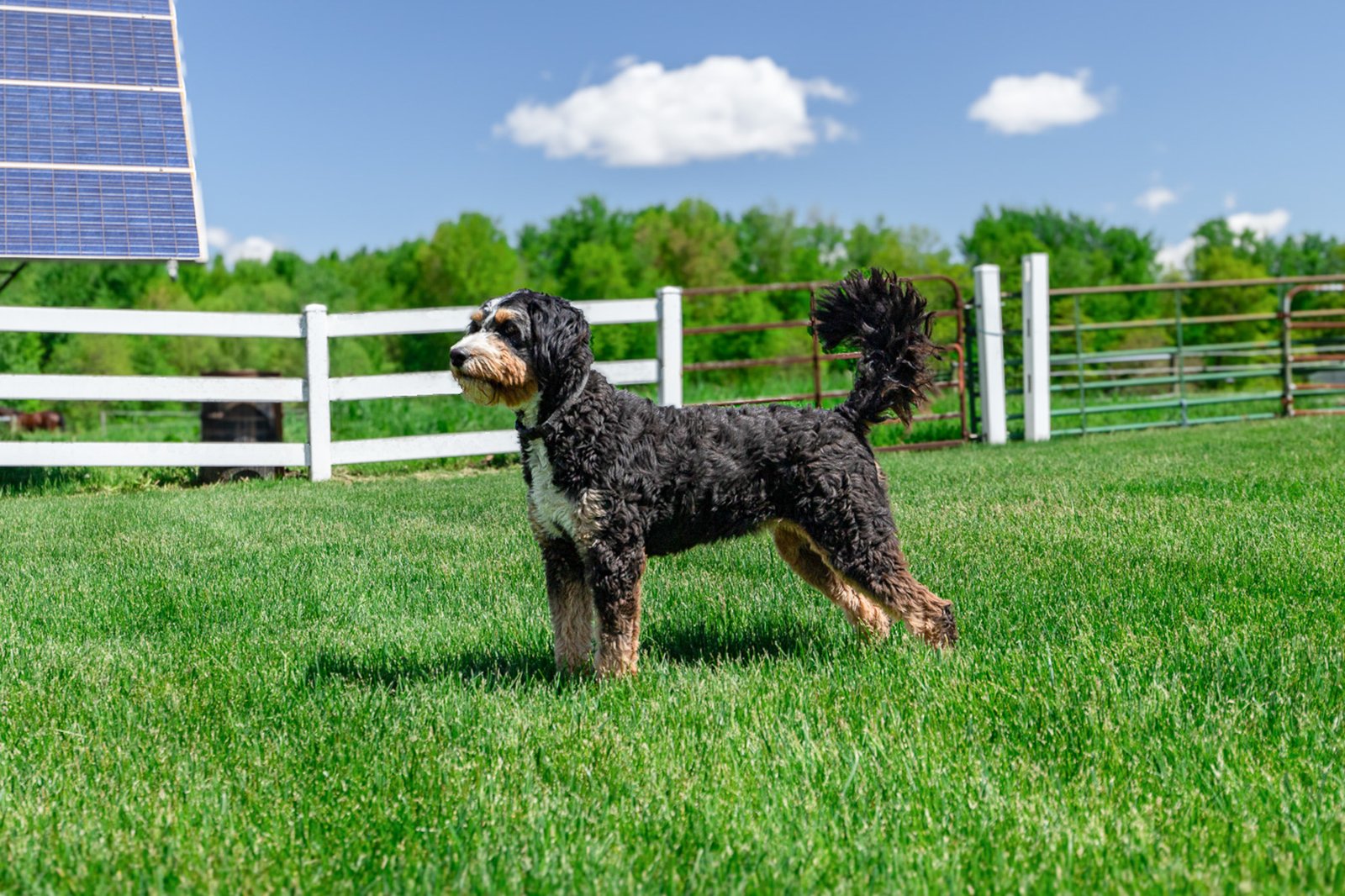 Exterior Lightened Window 1241 1