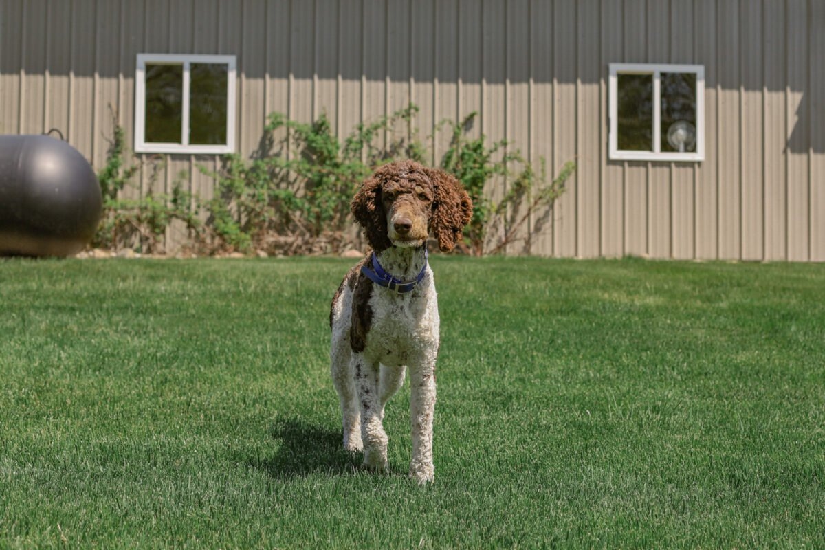 Exterior Lightened Window 1058 1200X800 1