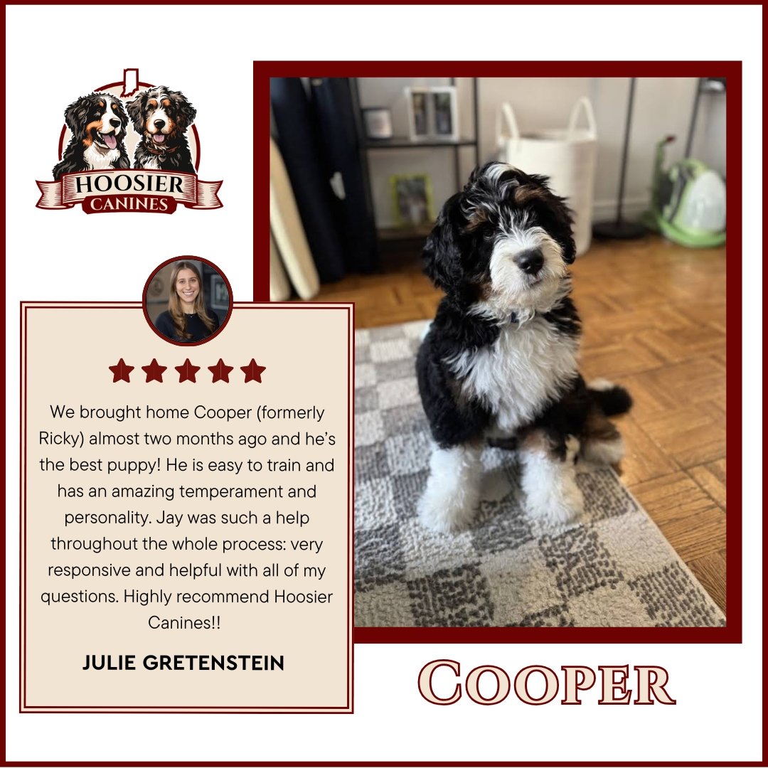 Cooper Hoosier Canines