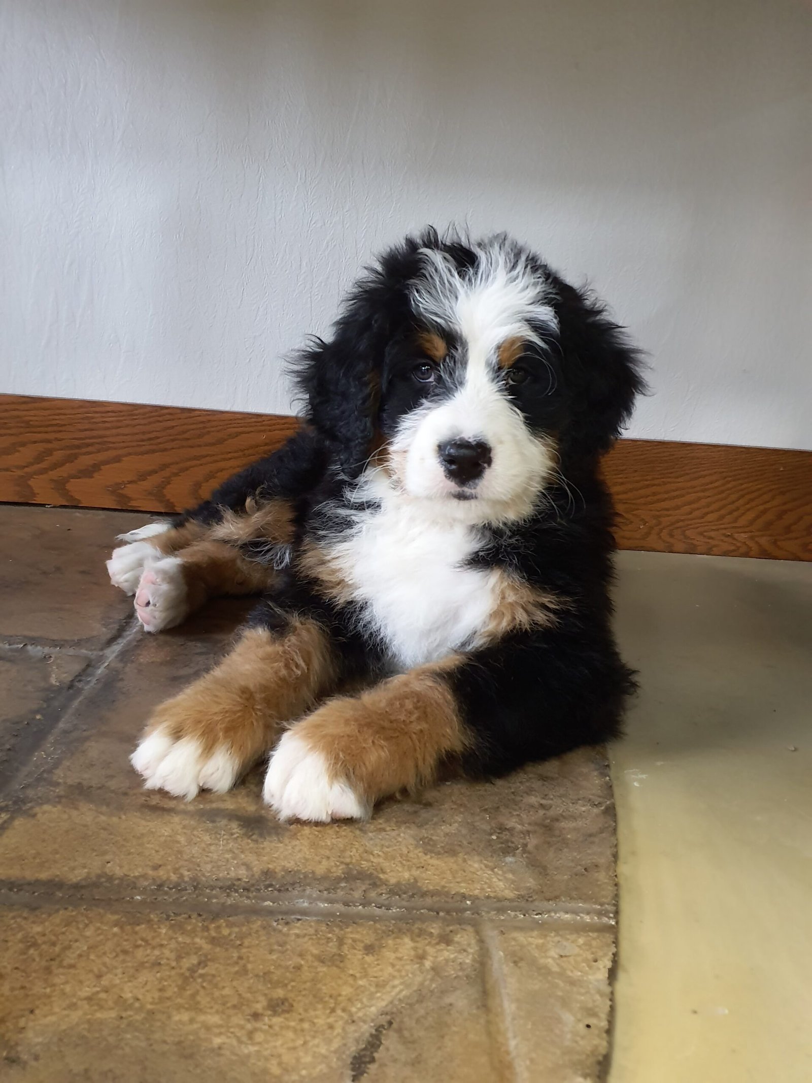 20240127 112107 Scaled