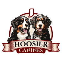 Untitled Design 28 2