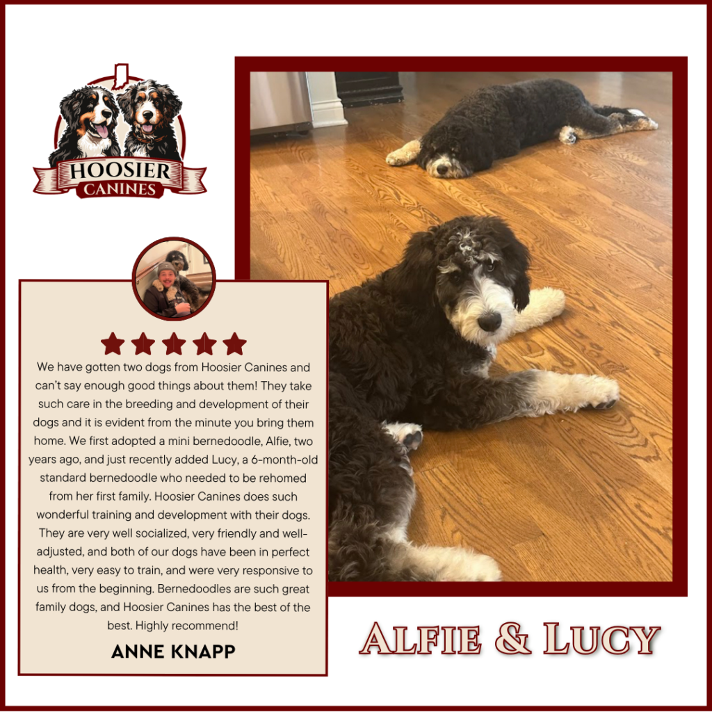 Cooper Hoosier Canines 2 1