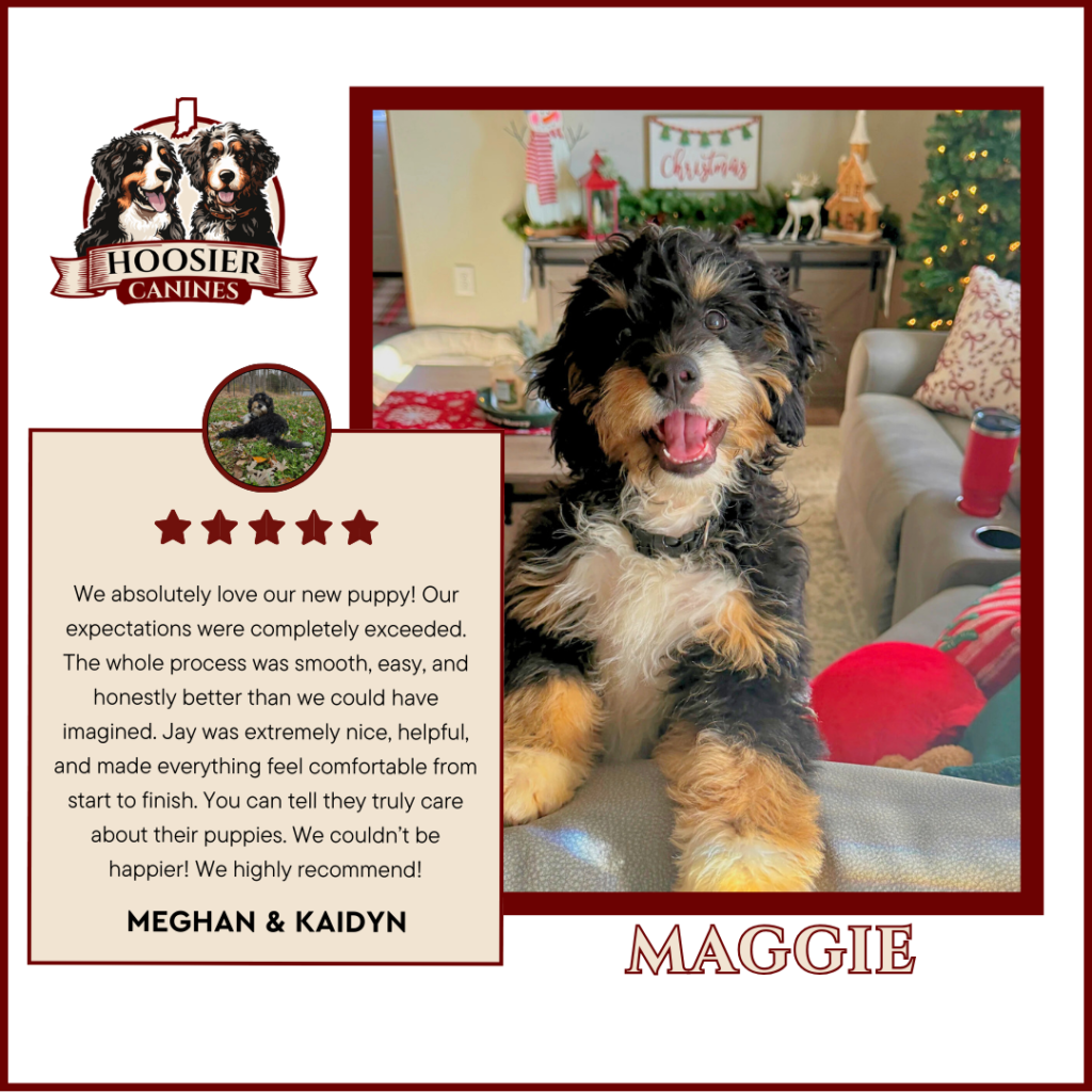 Hoosier Canines 1