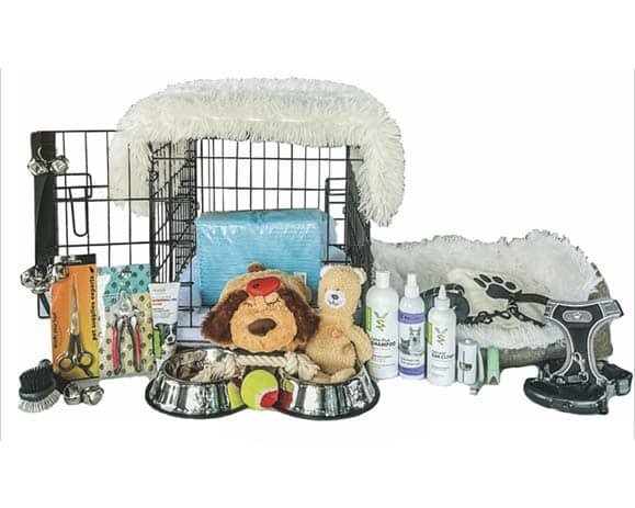 Puppy Care Package