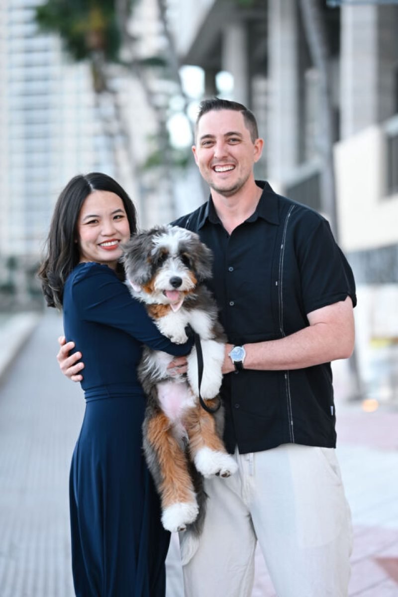 Mini-Bernedoodle-City-Life